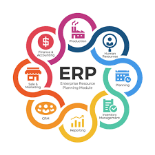 ERP Software: Revolutionizing Business Management