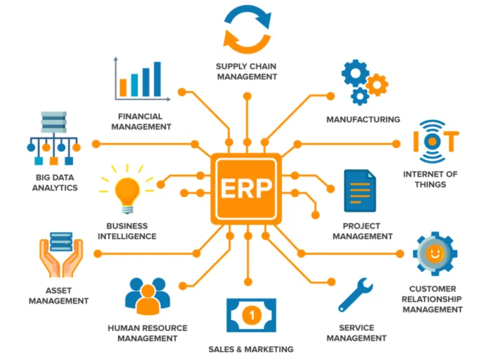 ERP Software: Revolutionizing Business Management